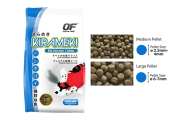 Ocean Free Kirameki Premium Intense Colour Koi Medium 1Kg - Amazing Amazon